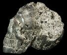 Polished Pyrite Skull With Pyritohedral Crystals #50986-1